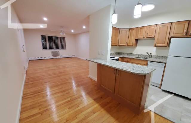 Renovated 2-Bed in Prime Coolidge Corner Location – Heat  Hot Water Included! photos photos