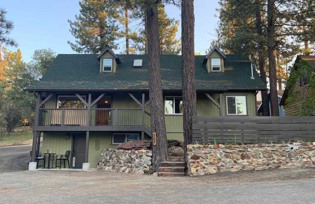 703 Modesto Lane - 703 Modesto Lane, Big Bear Lake, CA 92315