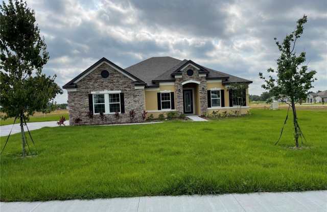 10067 DOLPHIN GULL CIRCLE photos photos