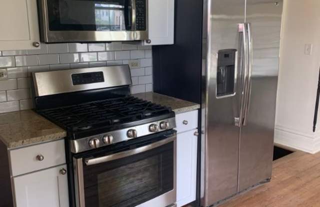 934 W 19th St - 934 West 19th Street, Chicago, IL 60608