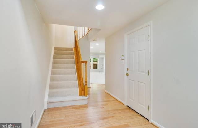 4037 FAIRFAX CENTER HUNT TRL Gallery 4