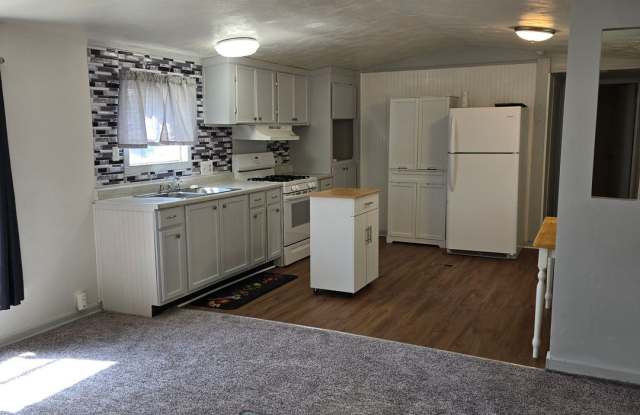 Clean & Fresh! Gallery 3