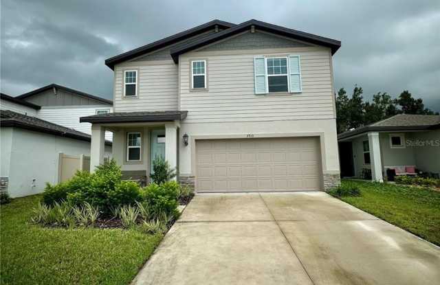 3910 RADIANT MOUNTAIN Drive Gallery 3