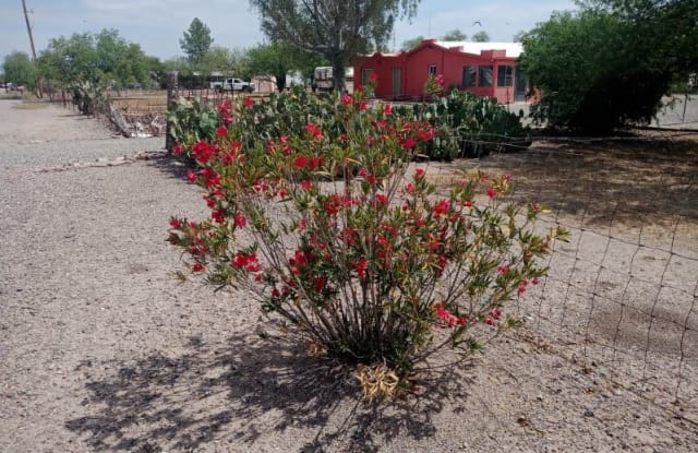 7041 S Headley Ave - 7041 South Headley Avenue, Pima County, AZ 85746