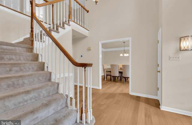 7707 LAKE GLEN Drive Gallery 3
