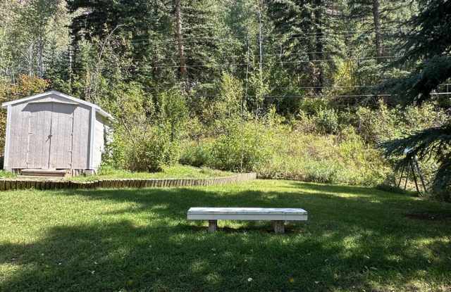 Furnished One Bedroom One Bath Home in Redstone CO Gallery 4