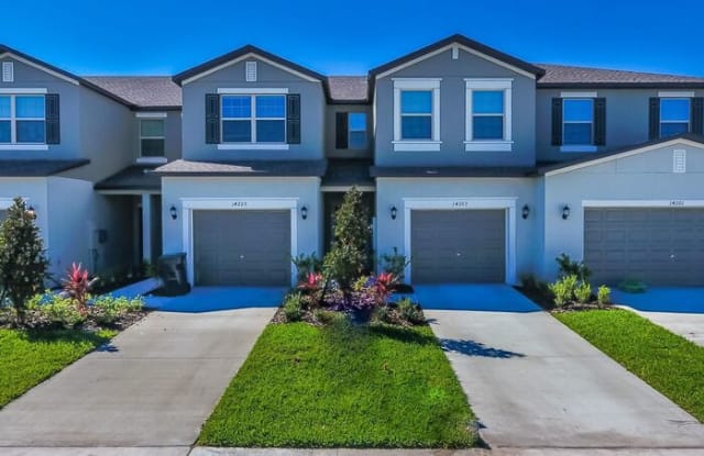 14218 Riva Ridge Place - 14218 Riva Ridge Pl, Apollo Beach, FL 33573