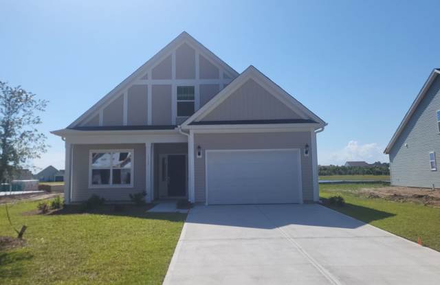 Beautiful New Build 3 Bedroom Home - 1059 Agostino Drive, Horry County, SC 29579
