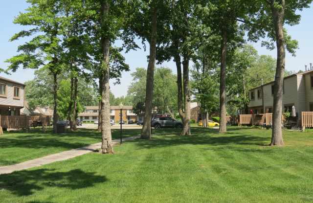 Forest Glen Gallery 3