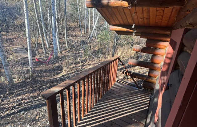 Dry cabin off Goldstream / Dog friendly Gallery 3