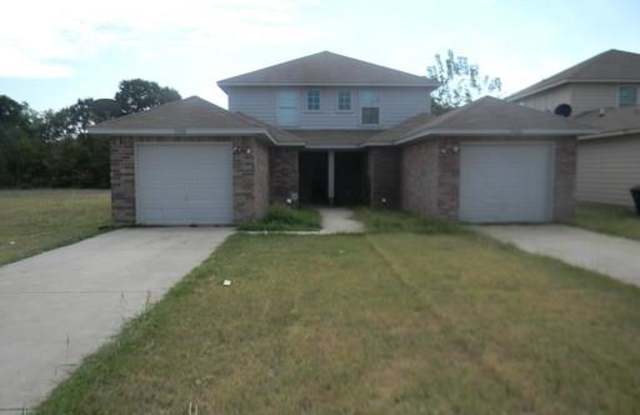 13710 Biggs Street - 13710 Biggs St, Dallas, TX 75253