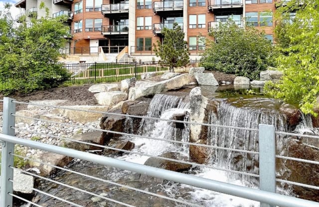 The Timbers photos photos