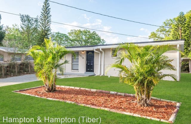 7216 E EMMA ST - 7216 East Emma Street, East Lake-Orient Park, FL 33610