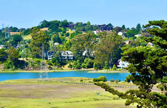 189 Morning Sun Avenue photos photos