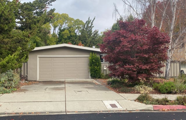 4956 Vannoy Ave. - 4956 Vannoy Avenue, Castro Valley, CA 94546