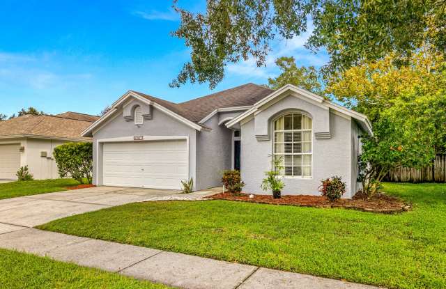 13411 Eudora Pl - 13411 Eudora Place, Westchase, FL 33626