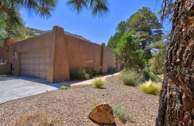 Executive 4 bedroom NE Heights home Gallery 3