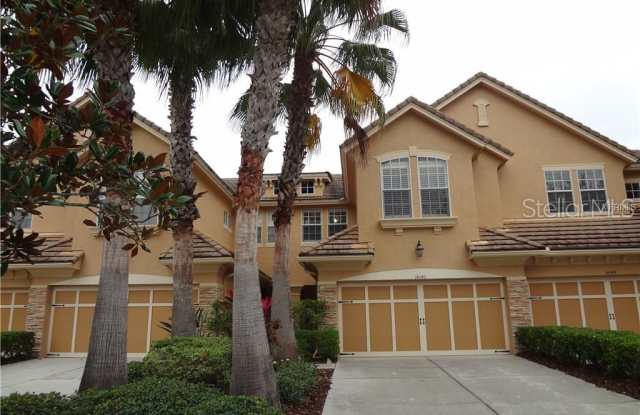14542 MIRABELLE VISTA CIRCLE - 14542 Mirabelle Vista Cir, Keystone, FL 33626