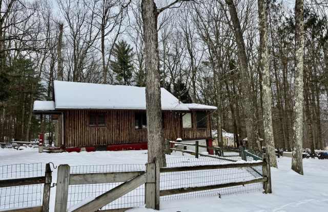 12 3rd Road - 12 Third Road, Wayne County, PA 18428