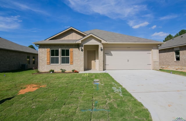 1142 Mission Creek Dr photos photos