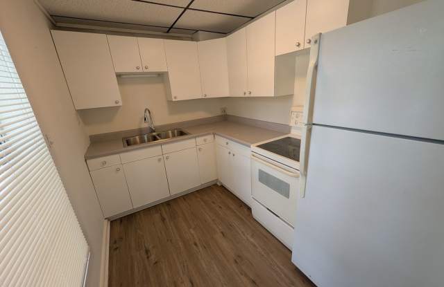 St. Pete 2 Bed 2 Bath For Rent Gallery 3