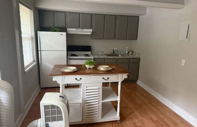 Charming One Bedroom Apartment In The Heart of Plaza Midwood! photos photos Charming One Bedroom Apartment In The Heart of Plaza Midwood! photos photos