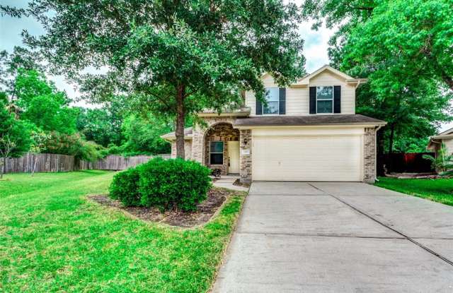 119 Hockenberry Place - 119 Hockenberry Pl, The Woodlands, TX 77385