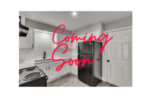 404 Thomas Chapel Drive - 404 Thomas Chapel Drive, Arlington, TX 76014