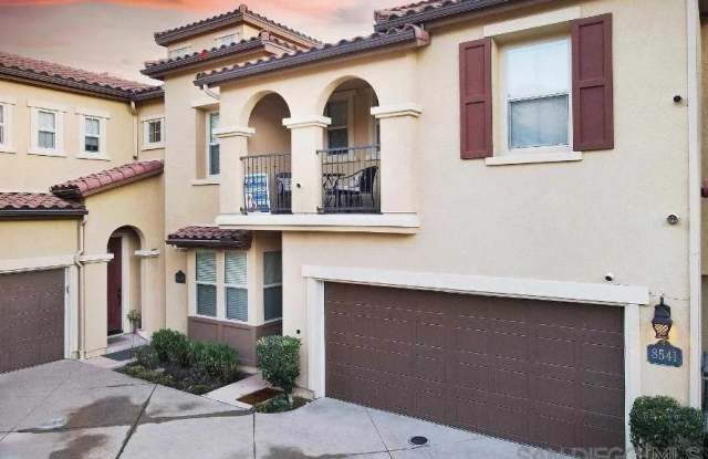 8541 Old Stonefield Chase photos photos