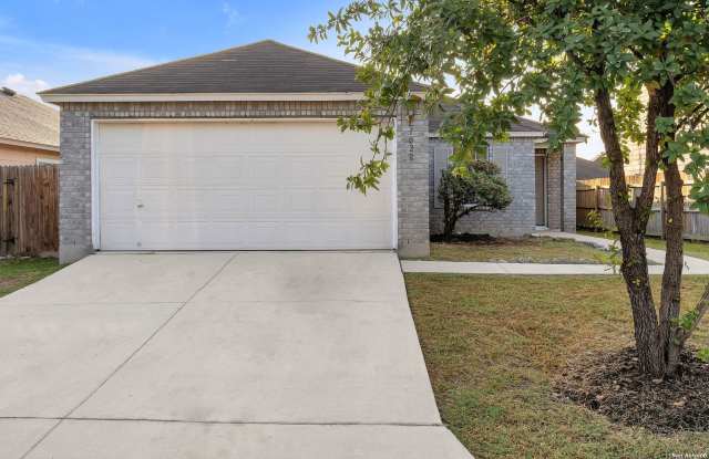 1022 AVOCET Gallery 2