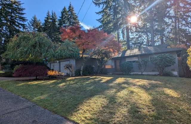 Home is Chevy Chase Neighborhood photos photos