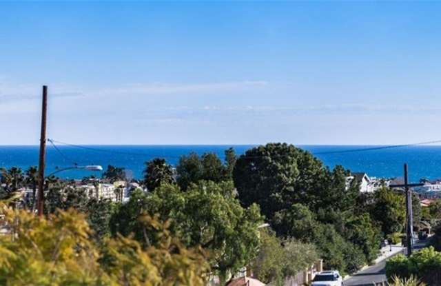 33762 Orilla Road - 33762 Orilla Rd, Dana Point, CA 92629