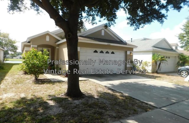 10520 Lakeside Vista Drive - 10520 Lakeside Vista Drive, Riverview, FL 33569