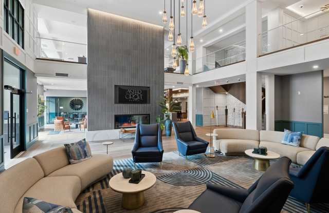 Aster Grove photos photos