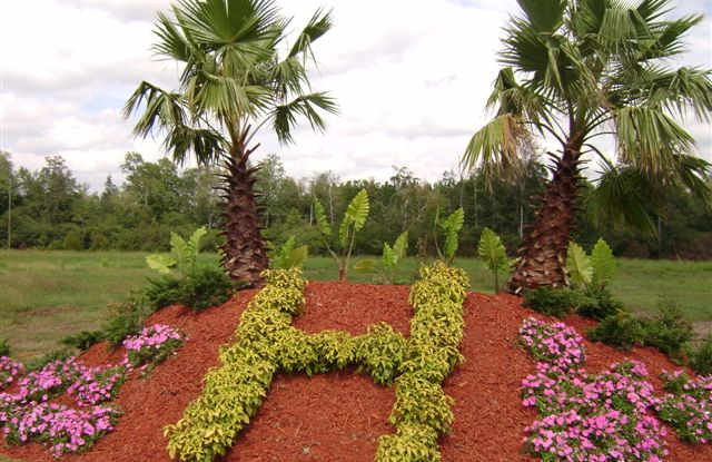 208 Sawgrass Trl photos photos