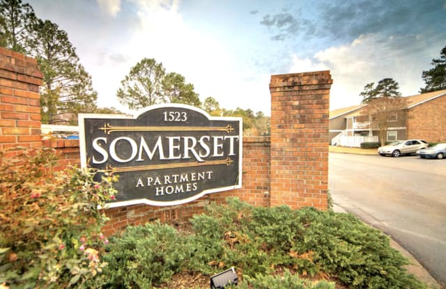 Somerset Place Apartments Gallery 2