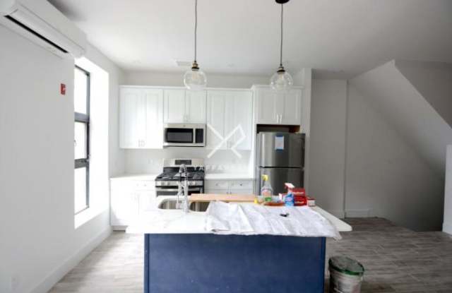 249 Albany Avenue - 249 Albany Avenue, Brooklyn, NY 11213