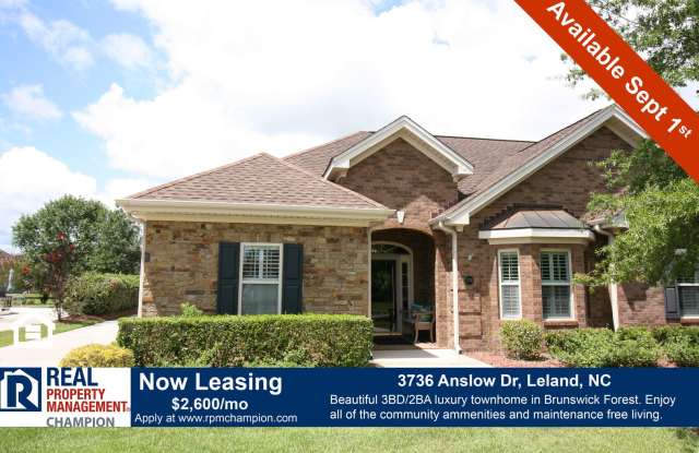 Immaculate 3 BD/2 BA Townhome in the Ashwood neighborhood of Brunswick Forest photos photos