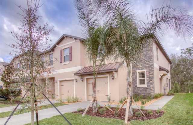 11646 CASTINE Street photos photos