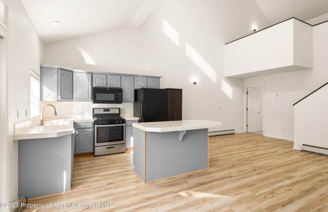 2009 Arbor Park Drive - 2009 Arbor Park Drive, Basalt, CO 81621