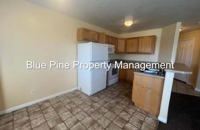 2488 Prospect Drive Gallery 4