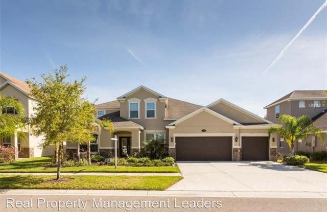 10513 Mistflower Ln. - 10513 Mistflower Ln, Tampa, FL 33647