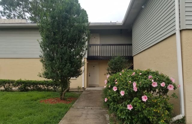 207 Red Cedar Pl - 207 Red Cedar Pl, Brandon, FL 33510