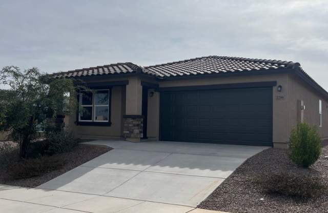Beautiful 4 Bedroom 3 Bathroom home in the highly desired neighborhood at Canyons at Whetstone in Benson AZ photos photos
