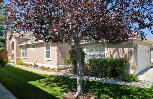 2 bedroom 2 bath home, 2 car garage, in South Meadows, gated community w/ pool  gym photos photos