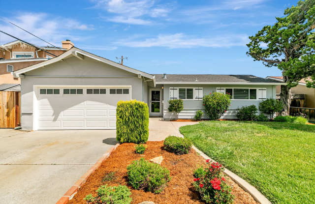 Cambrian Park Home Near Top Schools & Parks – Ideal San Jose Location! photos photos