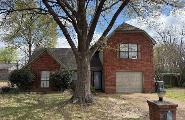 Great Location photos photos
