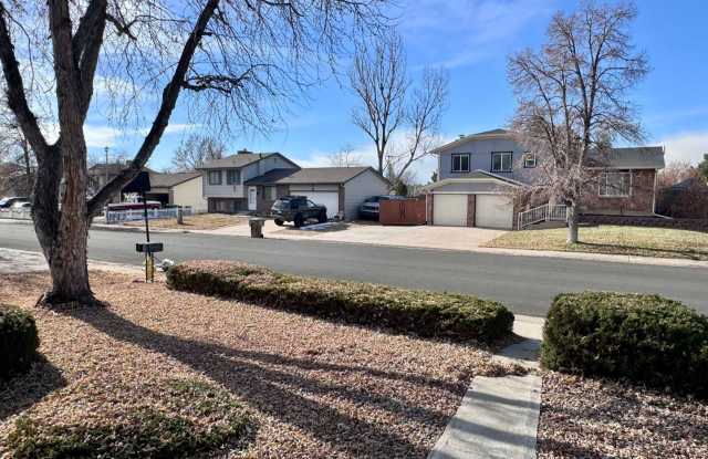 1538 S. Laredo Court Gallery 3