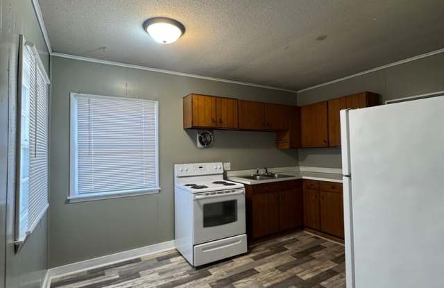 1bd 1ba duplex for rent in Hudson IA photos photos