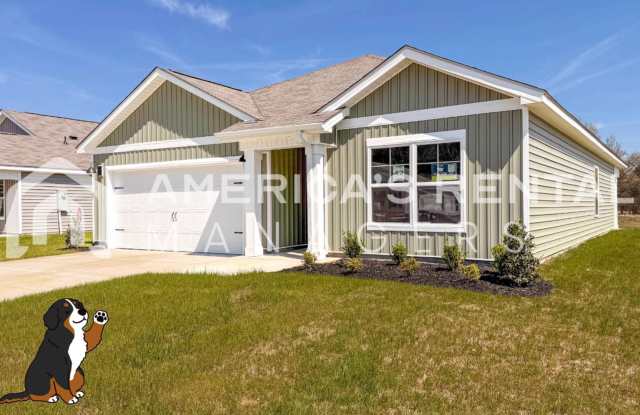 New Construction Home for Rent! photos photos